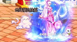 猫咪武器600w宠物1000w2