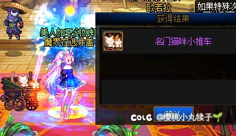 猫咪武器600w宠物1000w4
