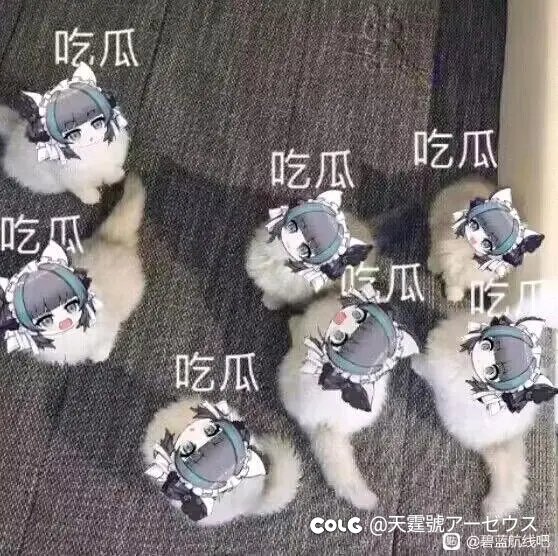 现在高中以下的学校的环境烂完了1