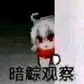 关于13武器 龙袍 和女格斗重做1