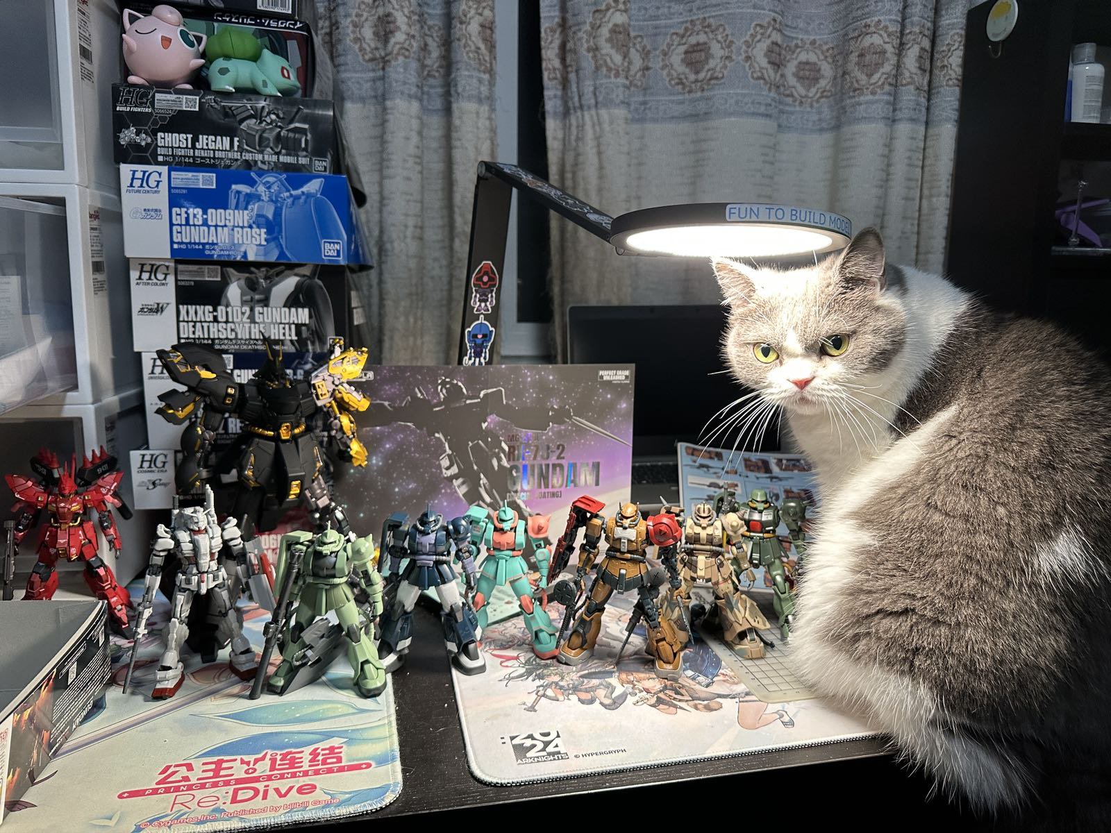 吸！每日猫猫3