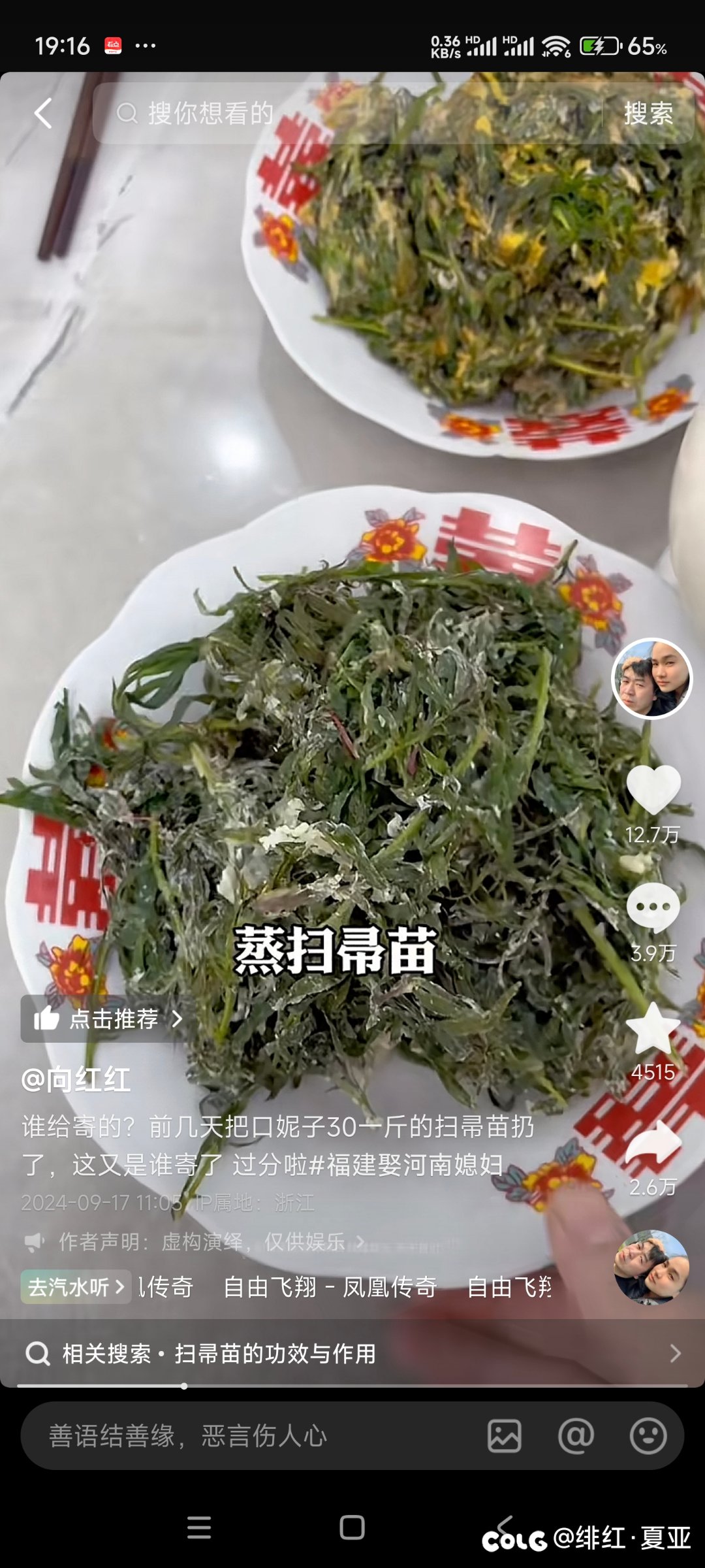 河南人是天天吃野菜吗3