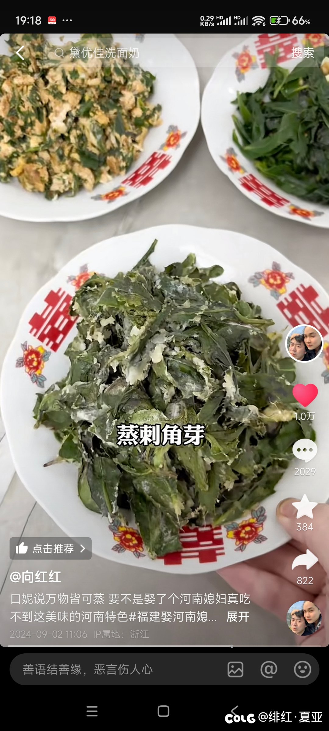 河南人是天天吃野菜吗4