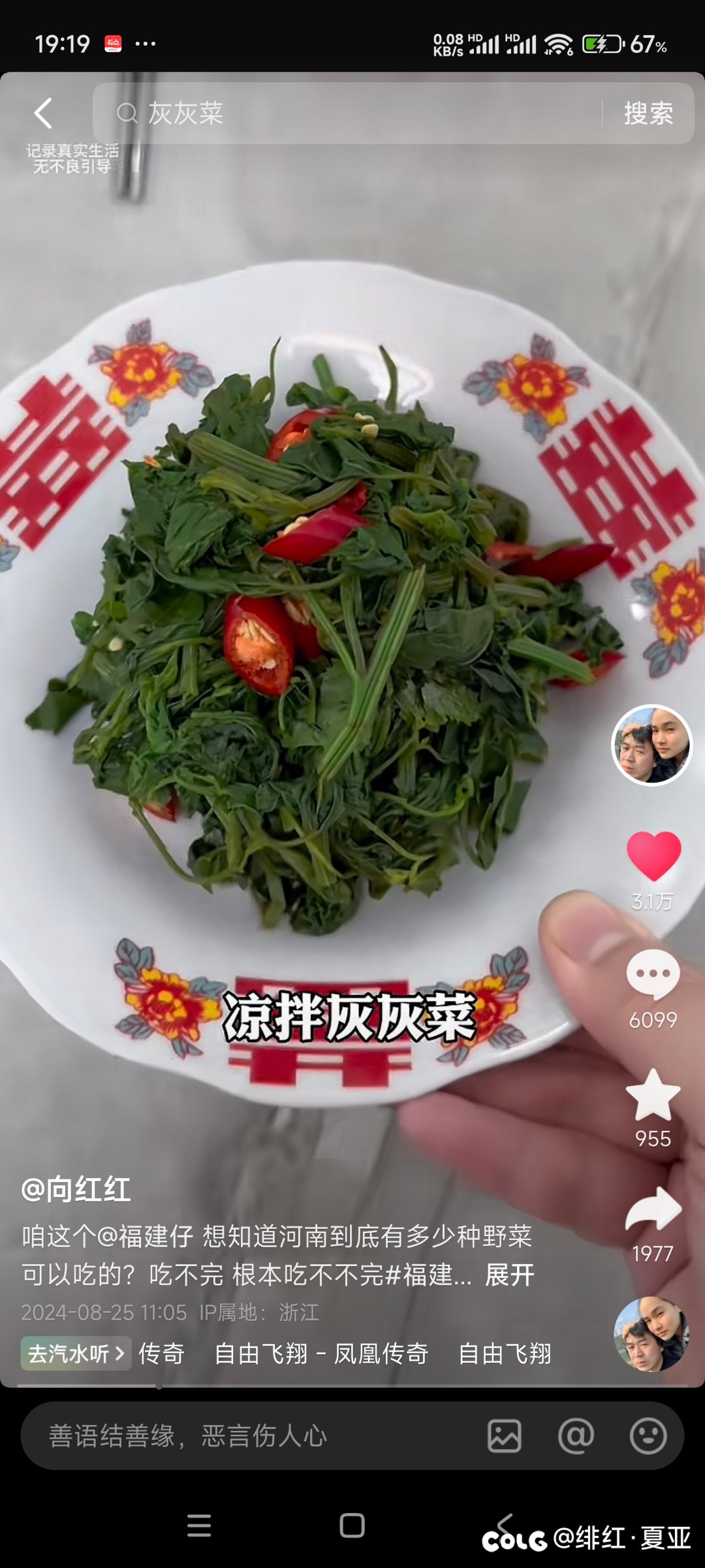 河南人是天天吃野菜吗5