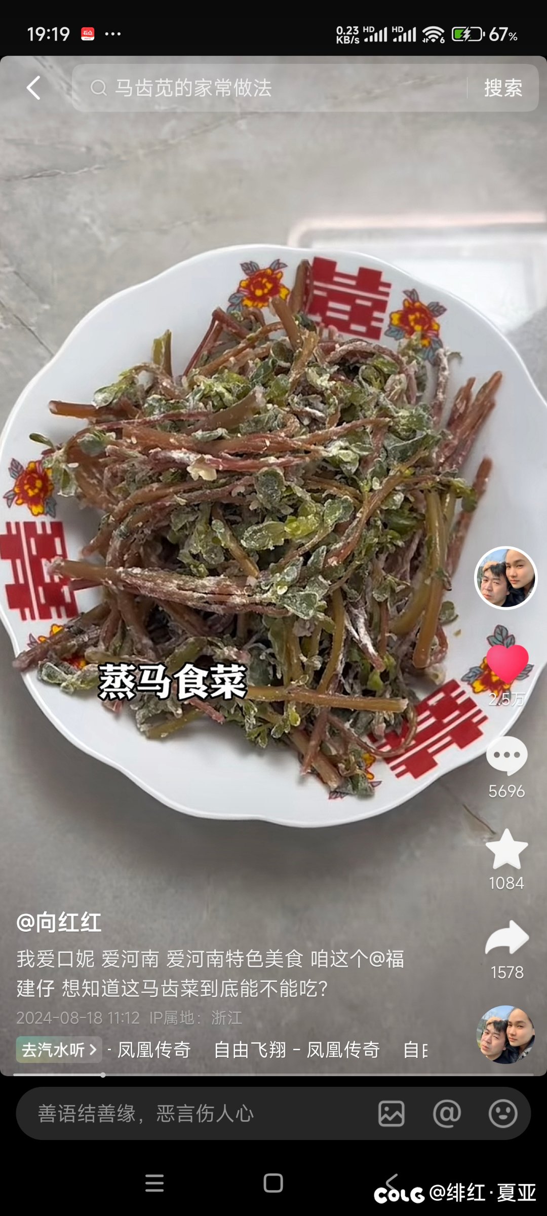 河南人是天天吃野菜吗6