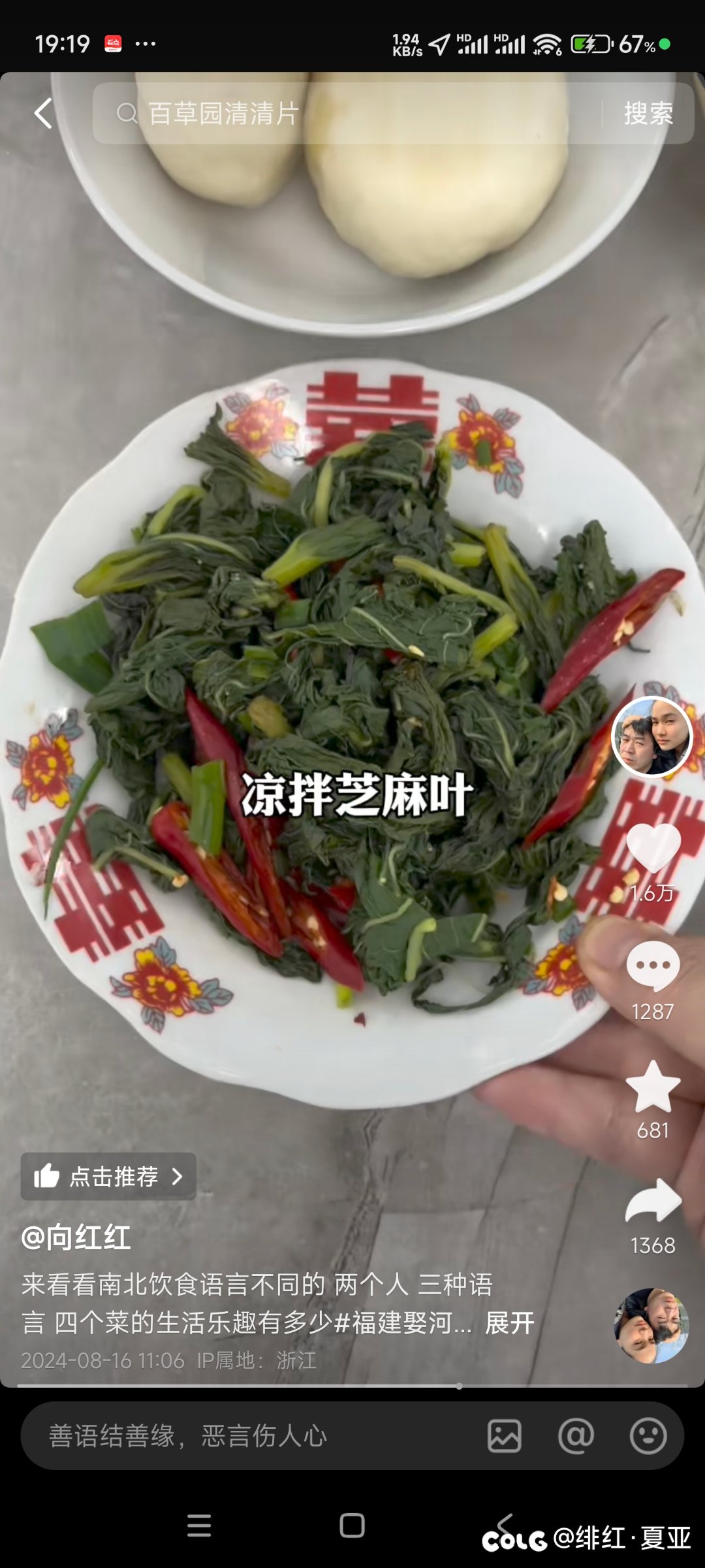 河南人是天天吃野菜吗7