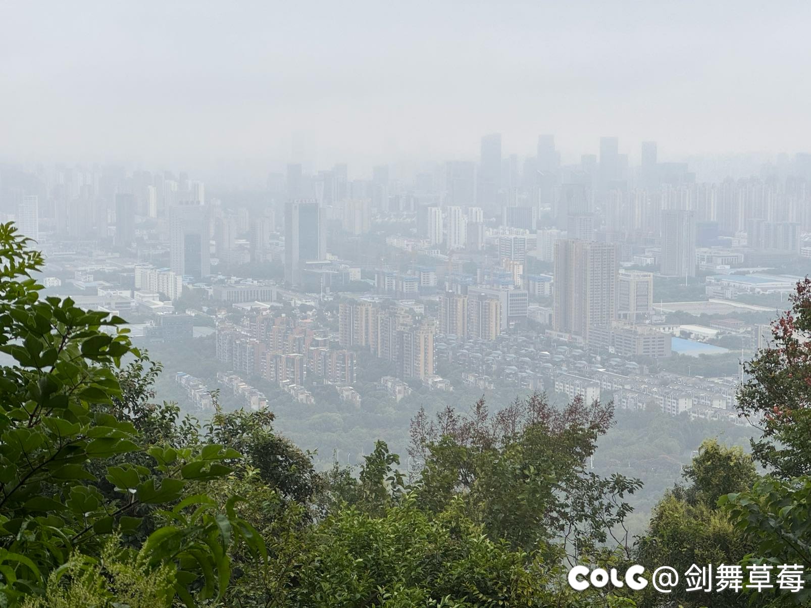 辞职这几天迷上爬山了1