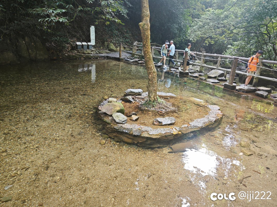 出来亲近大自然2
