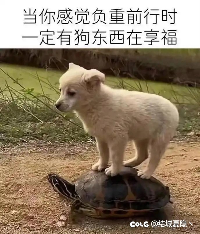 上线准备雾神，一看竞拍？1