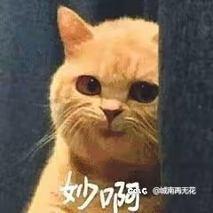 好好好，恭喜t1，恭喜28岁老将fmvp1