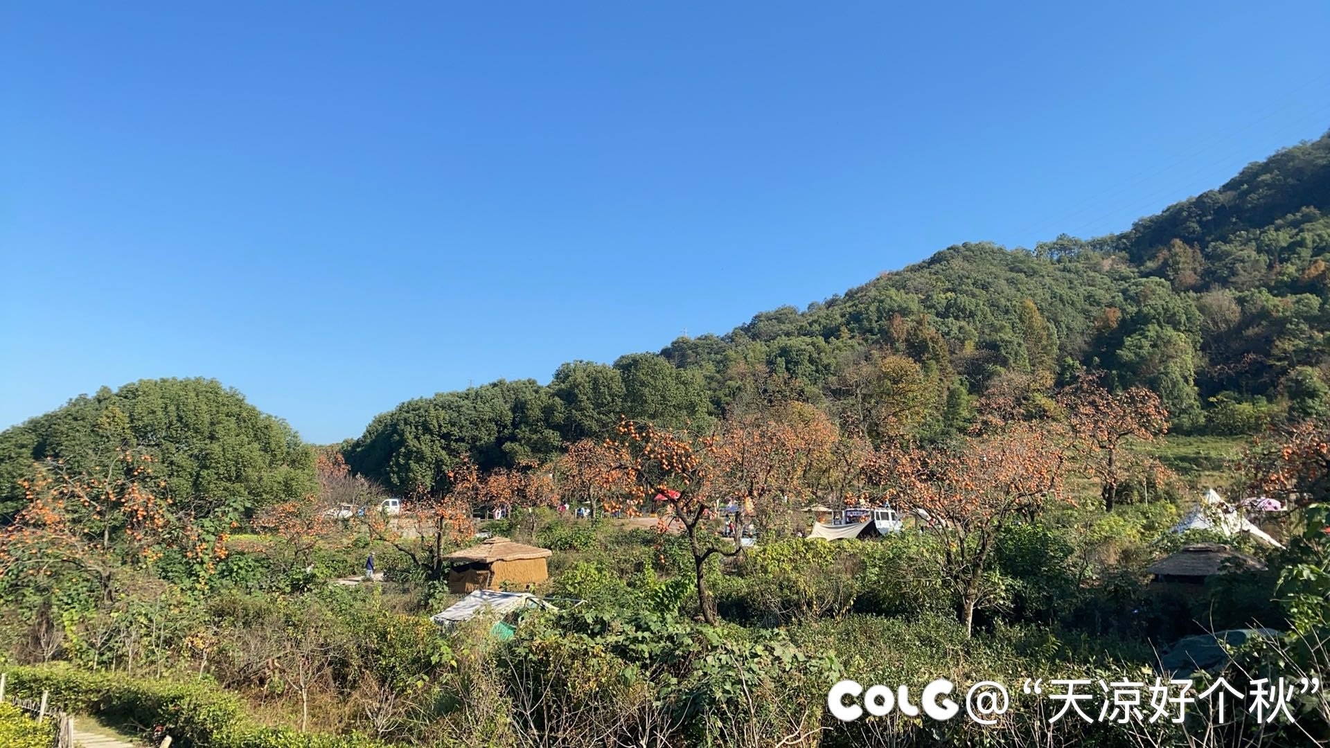 不负好时光1
