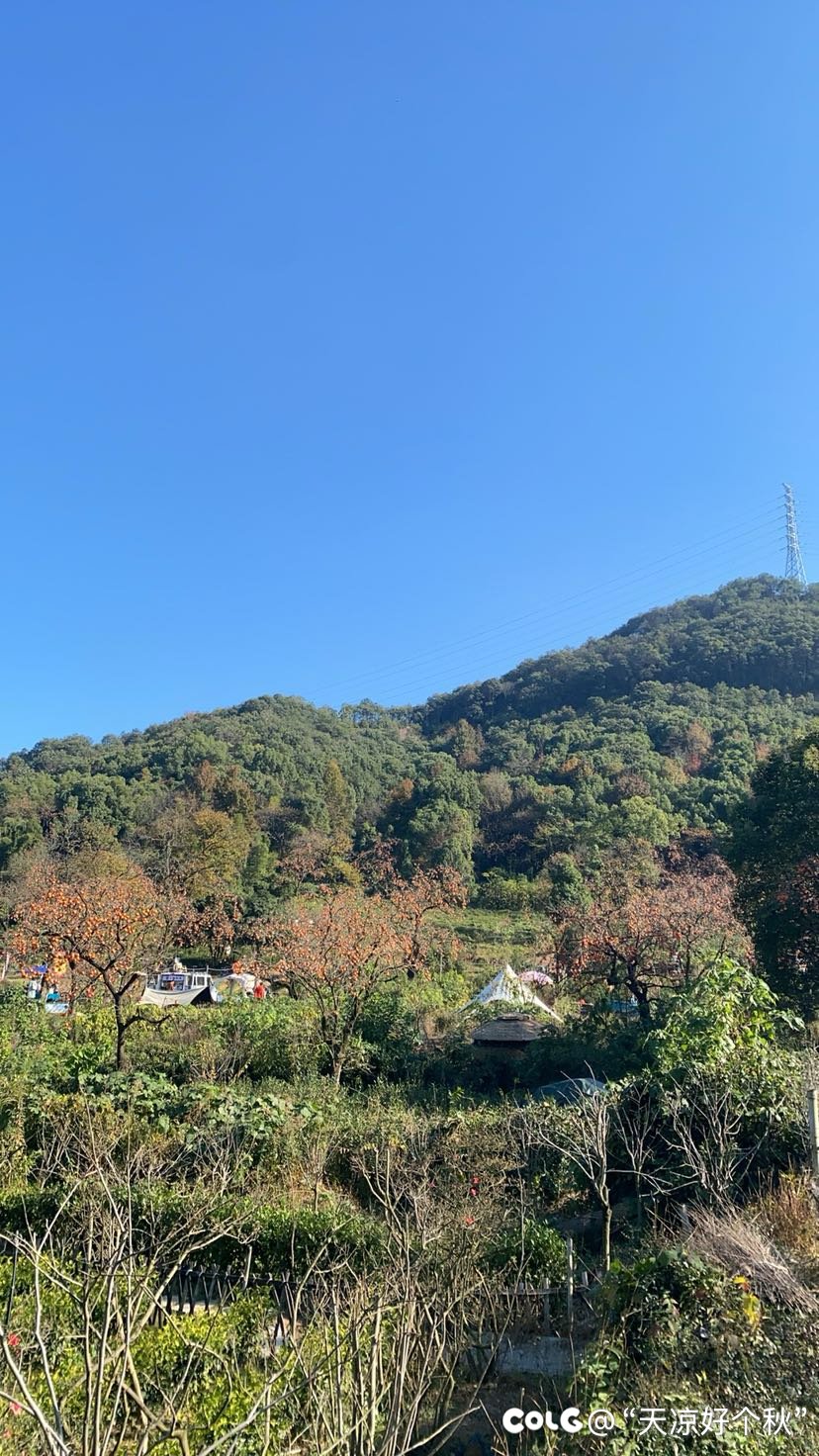 不负好时光2