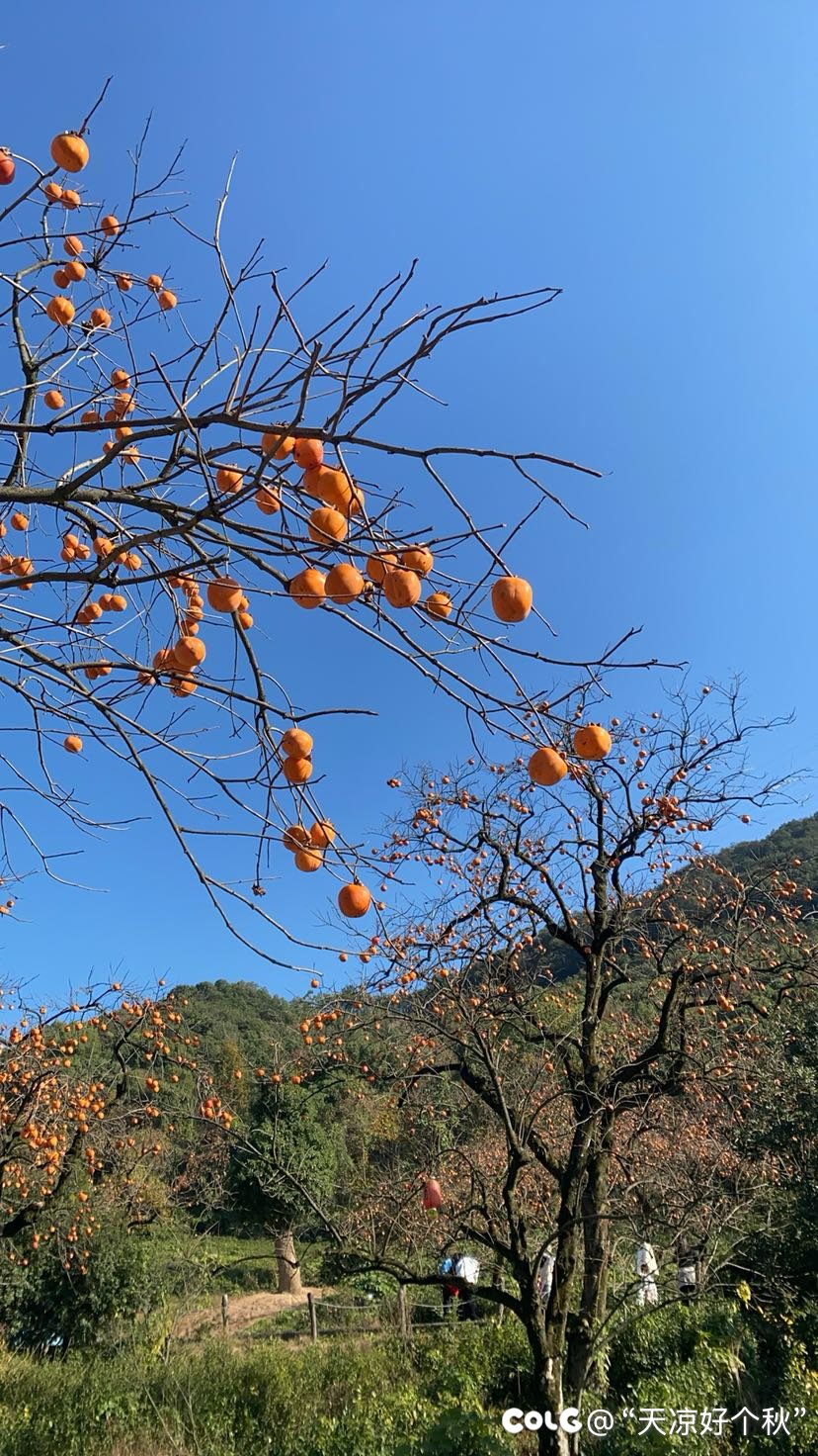 不负好时光3