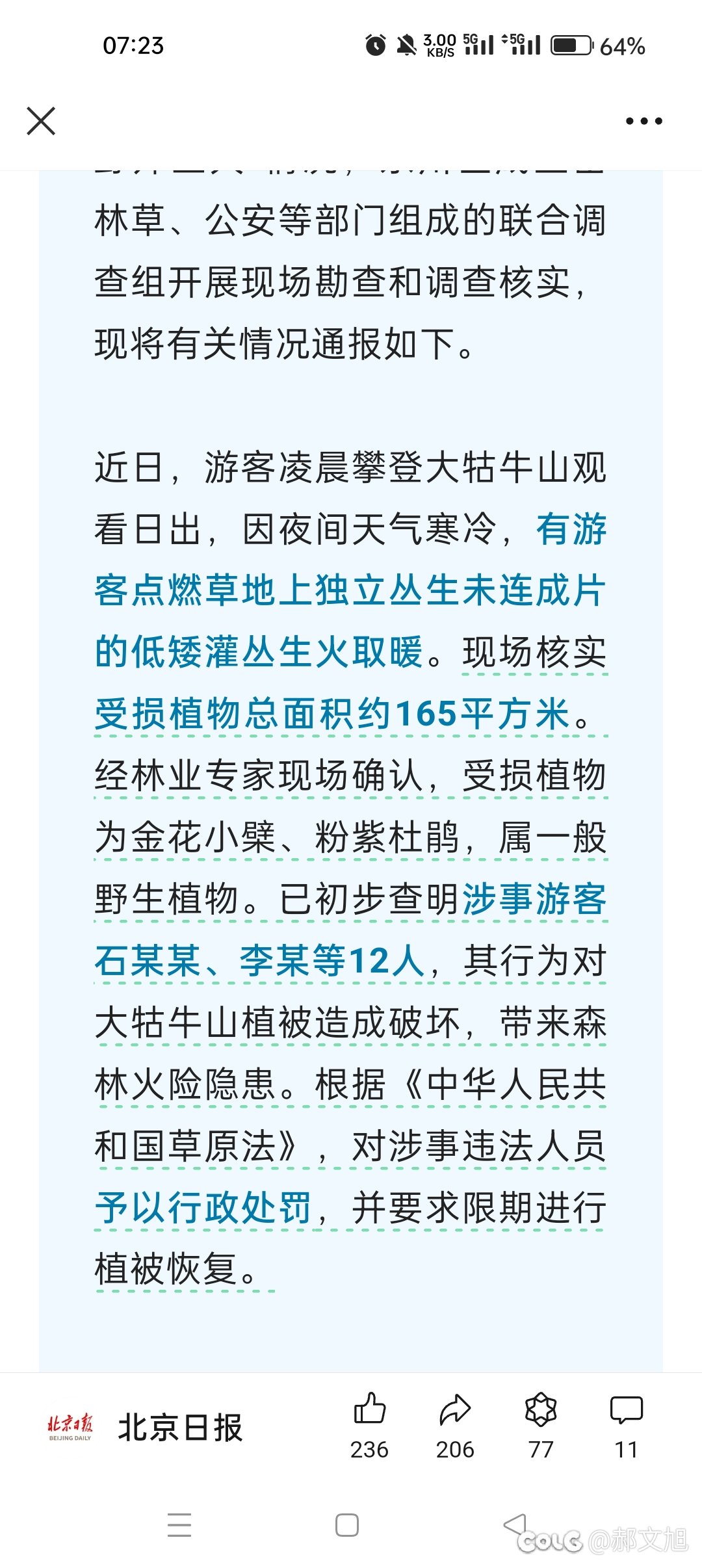 哇哦，烧山结果出来了，只有行政1