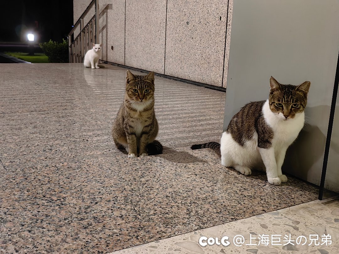 今天生日，来吃糖1