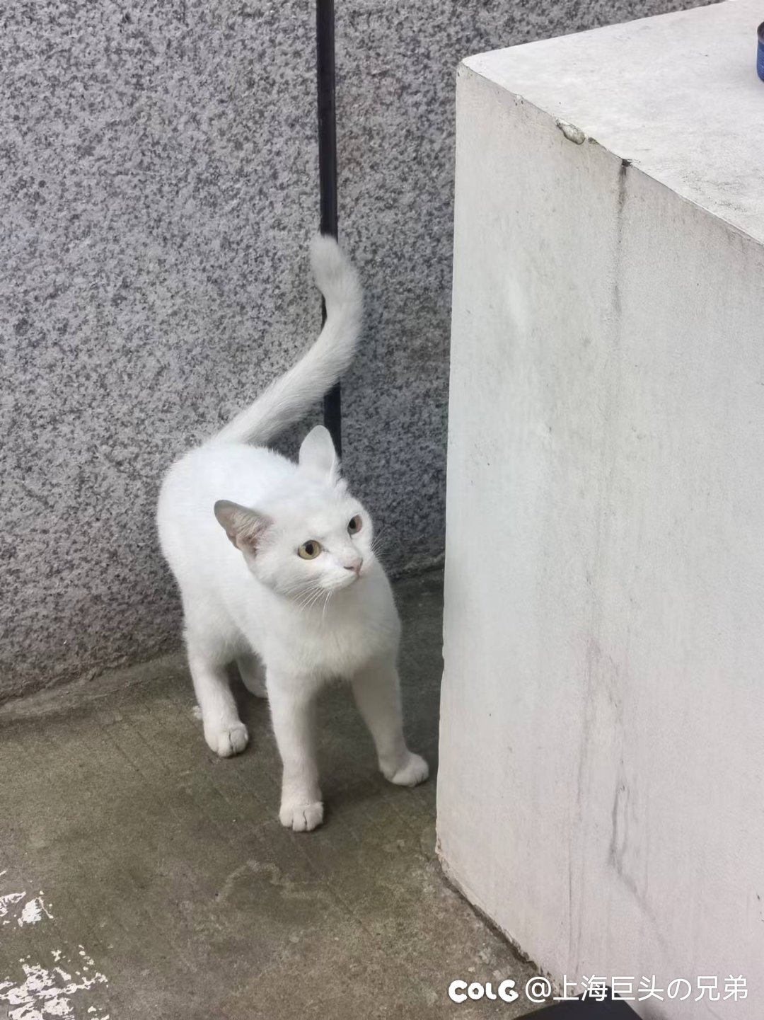 今天生日，来吃糖4