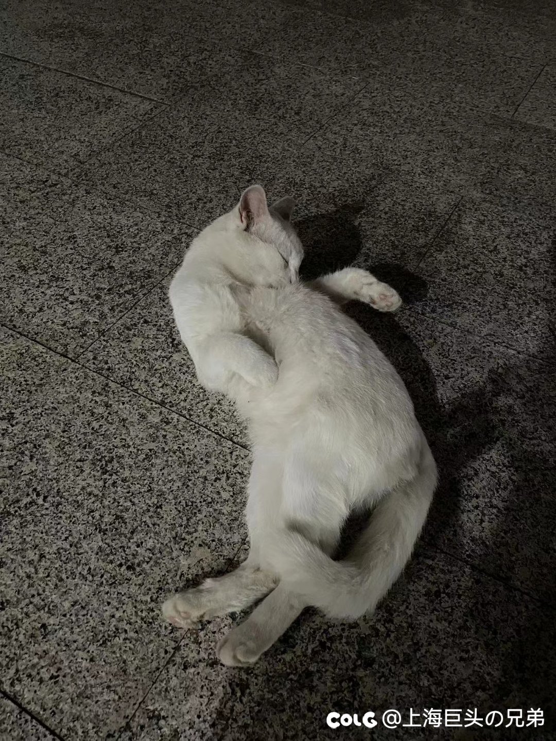 今天生日，来吃糖5