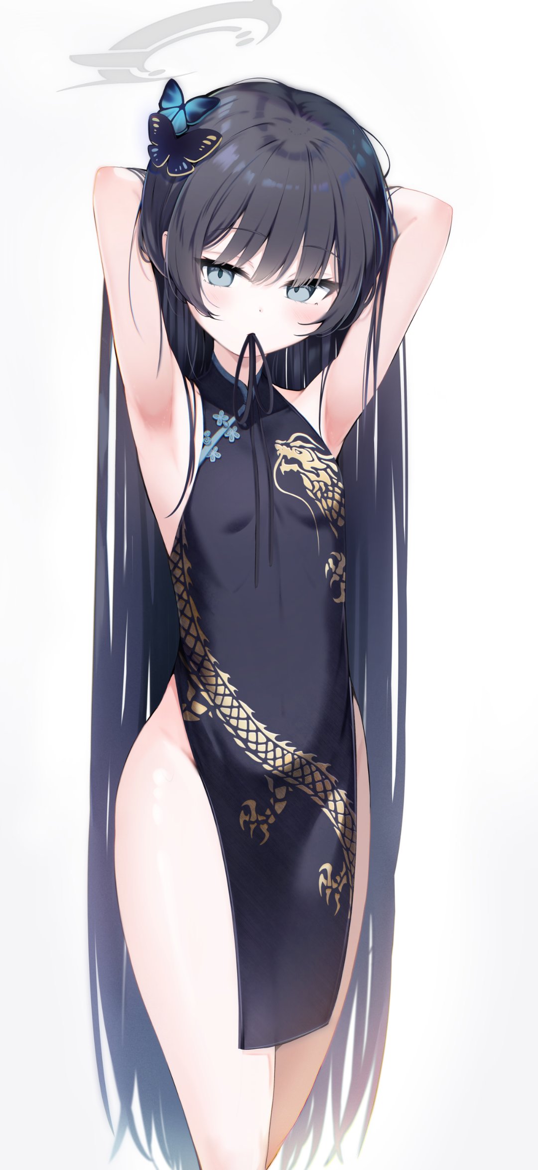 发布会能mdga吗？5
