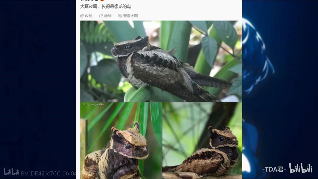 刚回坑，之前装备碎光光了。问一下增幅价格5