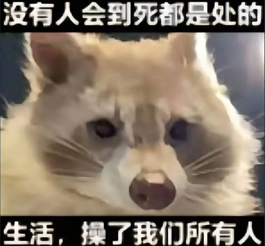 暖暖大佬明天的装扮有没有奶妈好看的散件搭配1