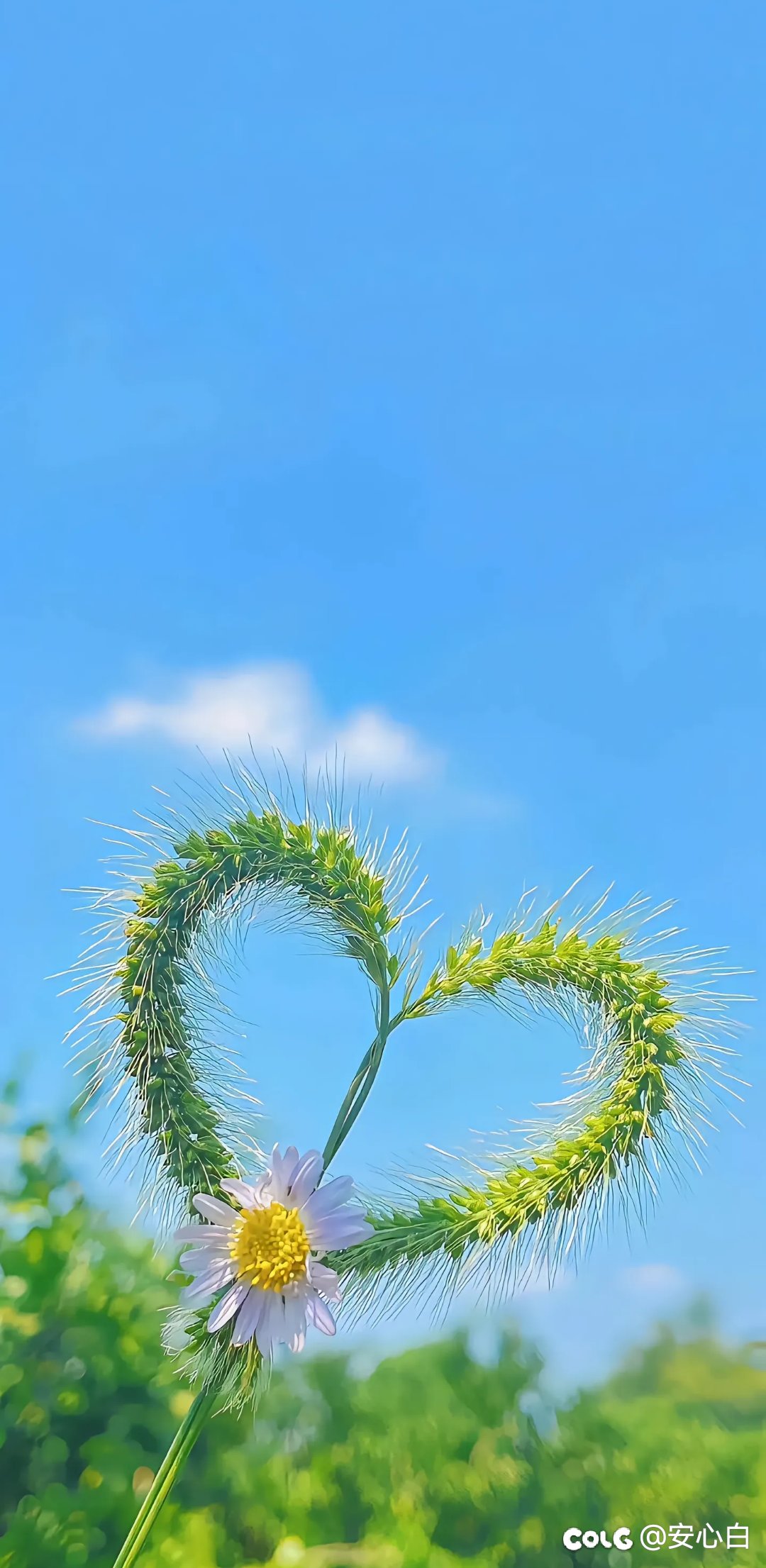 女弹药穿机械增幅裤子  和蓝灵裤子差多少伤害1