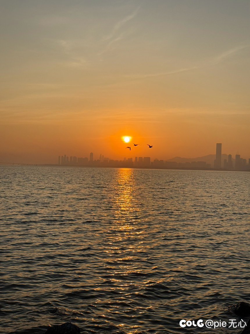 深圳湾的日落🌄1