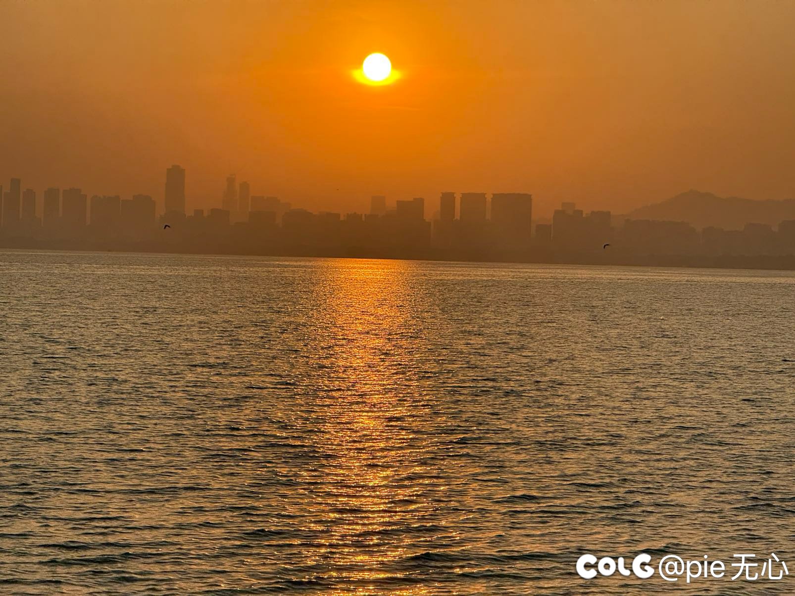 深圳湾的日落🌄3