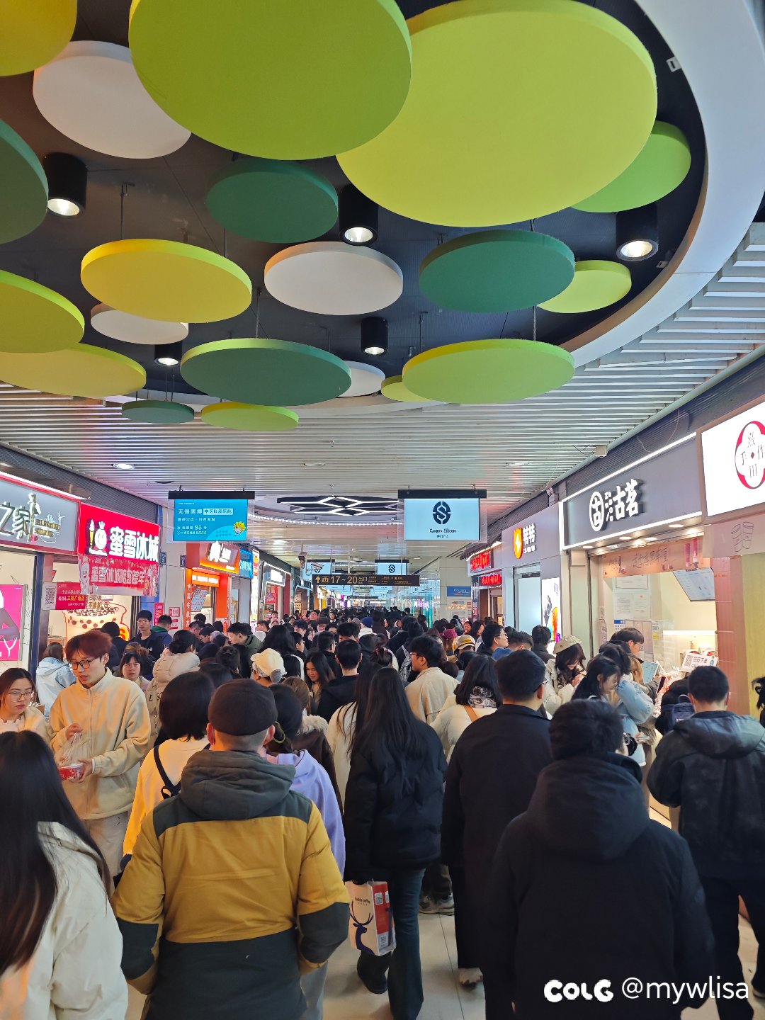 这种日子还是适合在家挺尸1