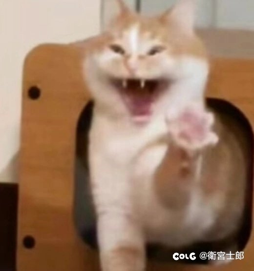 我倒要看看正式服的时候是不是这么有种1