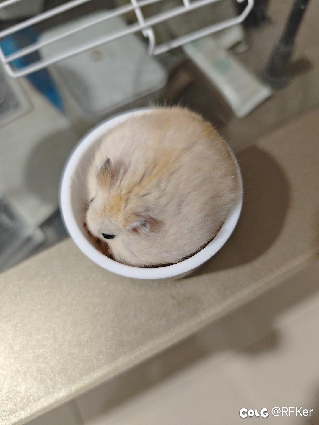电动小马达可以发吗？1