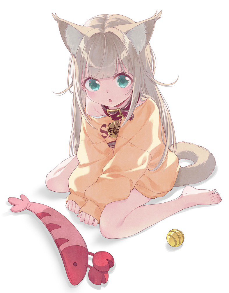 猫猫生病去一趟医院直接让我损失4×167圣晶石9