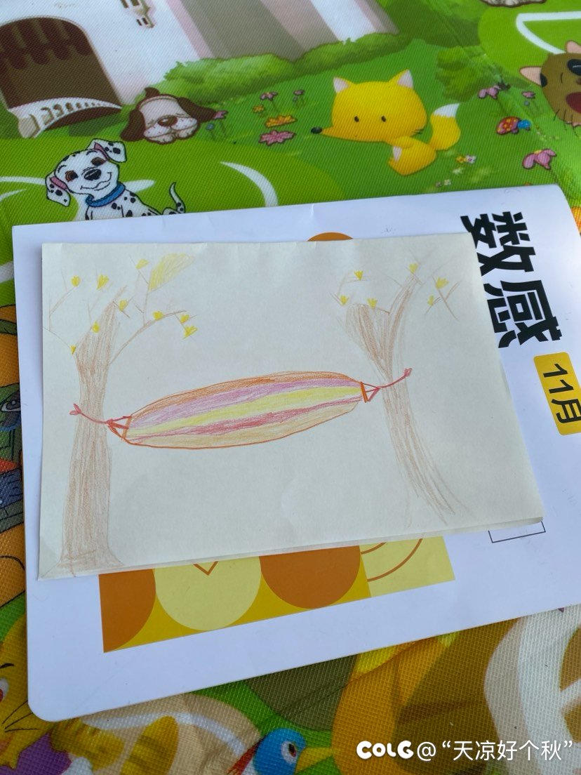 她说别人家的吊床是彩色的2