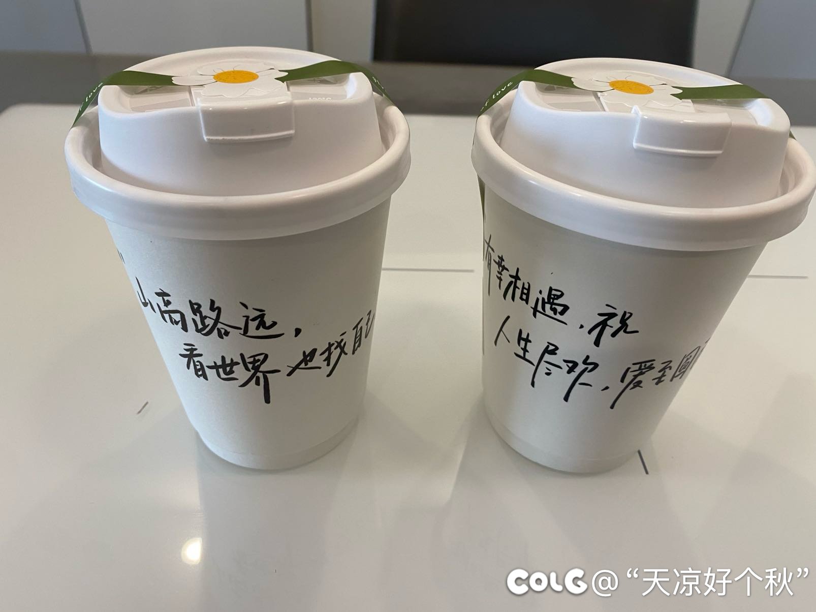 最近有点反弹的迹象2
