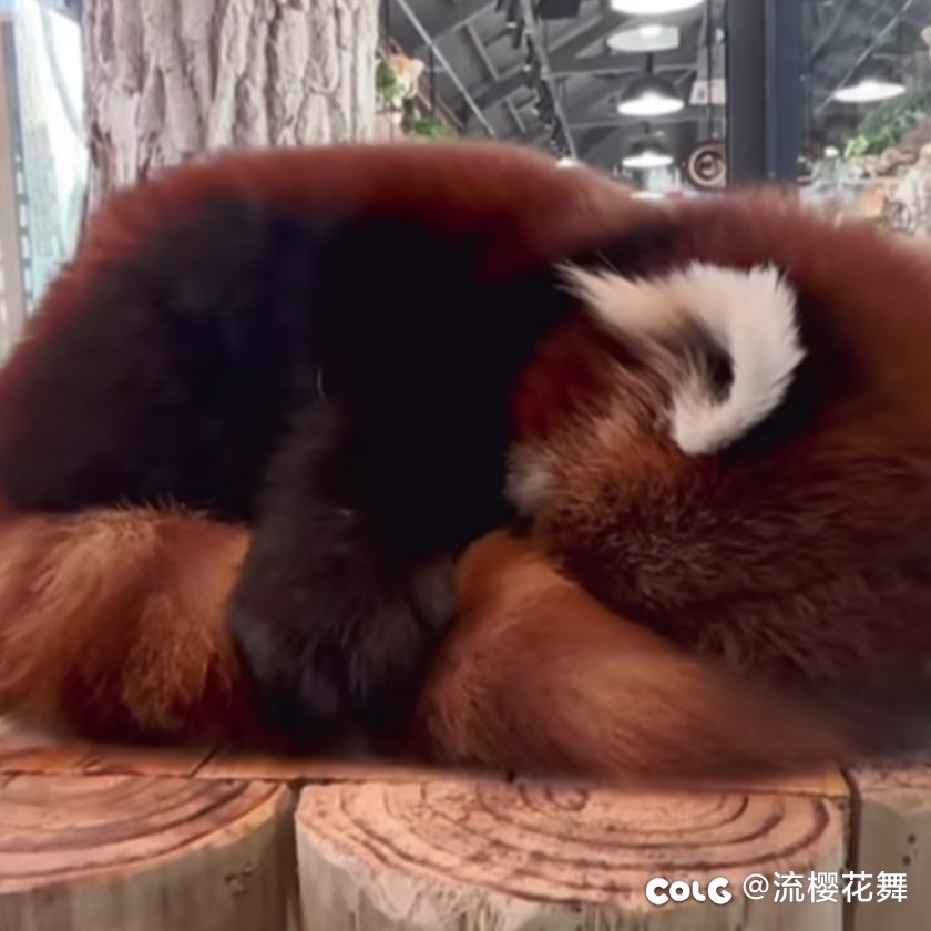 周四更新后游戏老卡死1