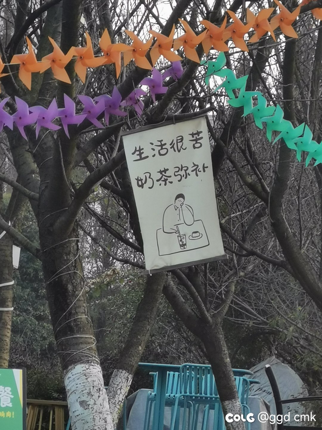 半年没上游戏的我突然刷到营销号视频，决定来C站看看1