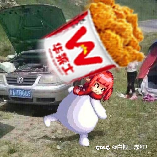 给团长拉拉票。1
