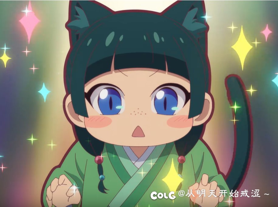 猫猫也第二季了3