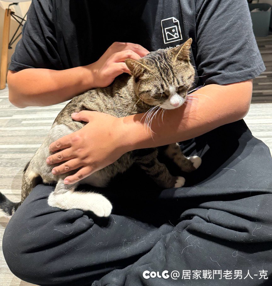 忽然一下变成了两孩家庭（误）1