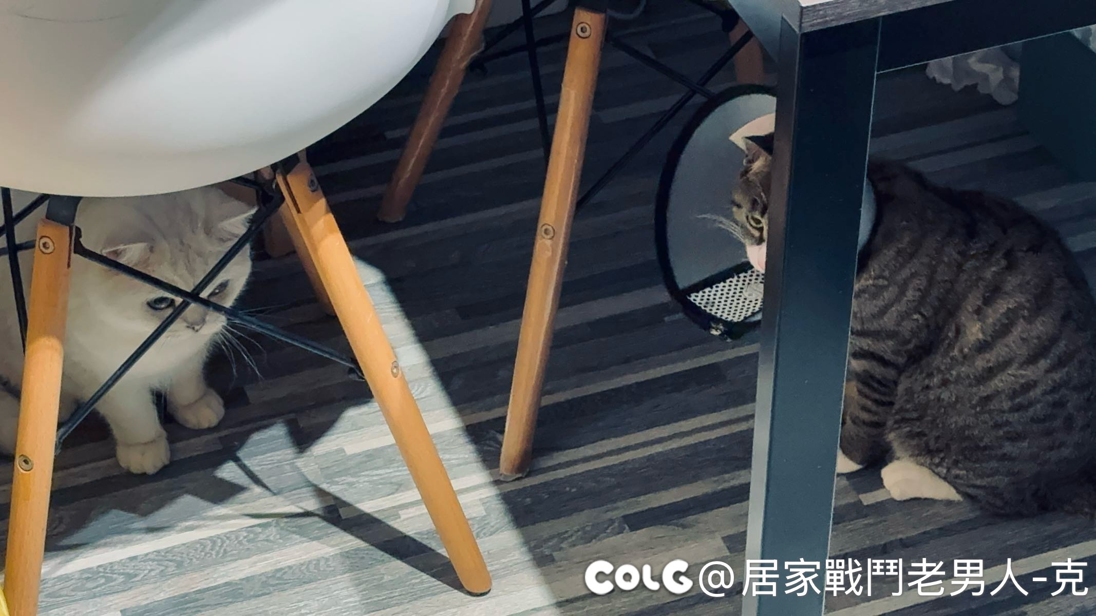忽然一下变成了两孩家庭（误）2