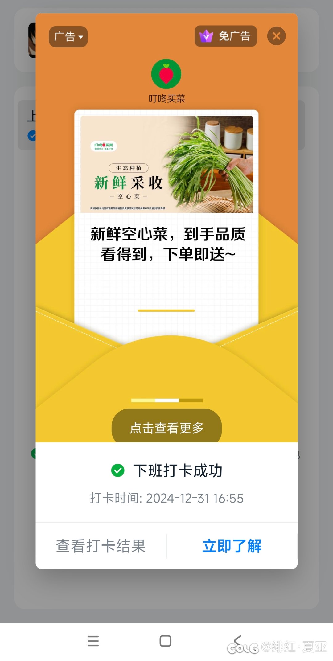 再见啦20242