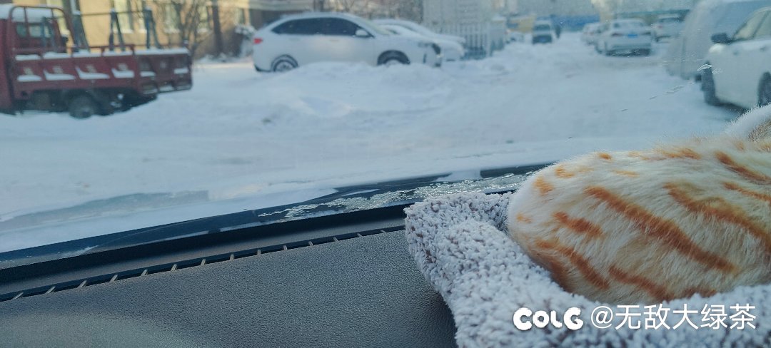 。。。。。这雪下的停车的地方都没有了1