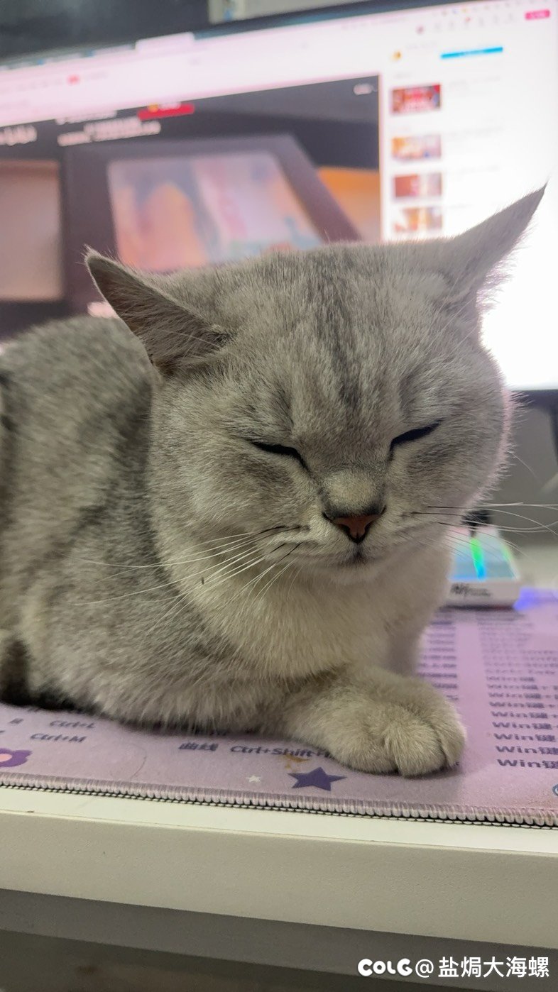 好家伙，搁家门口捡了个猫5