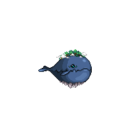 天帷之怒海霸主通行券/宠物4