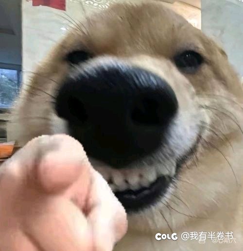 都在说价格，有没有可能新双尊加装备点数1