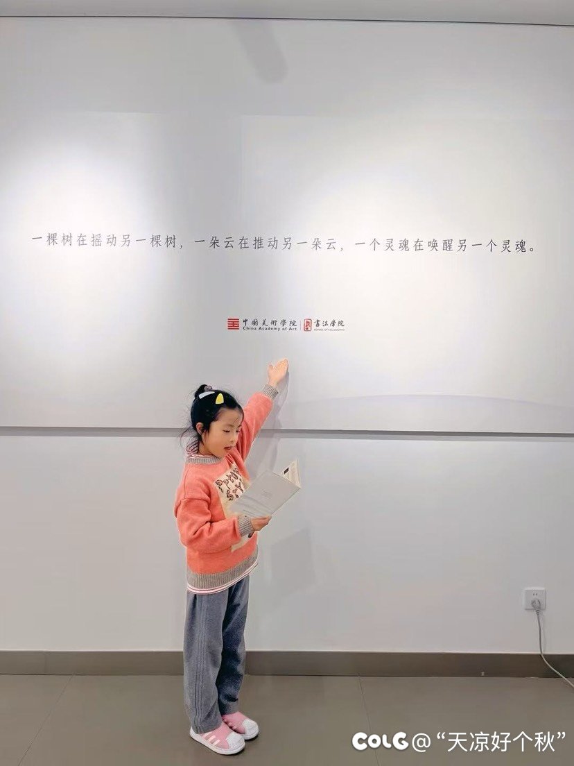 教育的本质是1