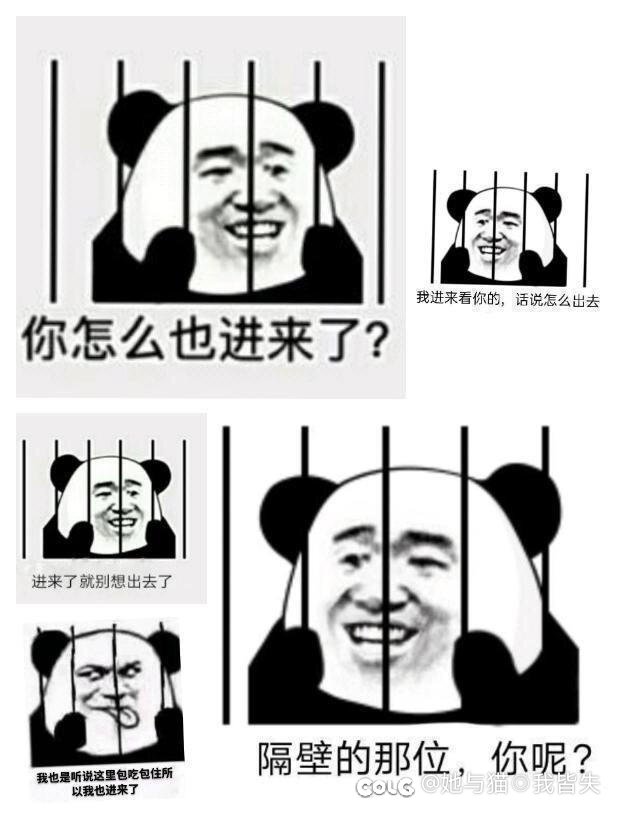 没结婚、不结婚就是原罪3