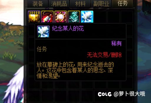 纪念某人的花1