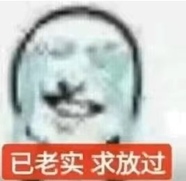 已老实，求放过，再也不开了2