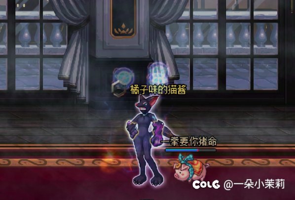明天女格斗就改版了，今晚拍拍照。1