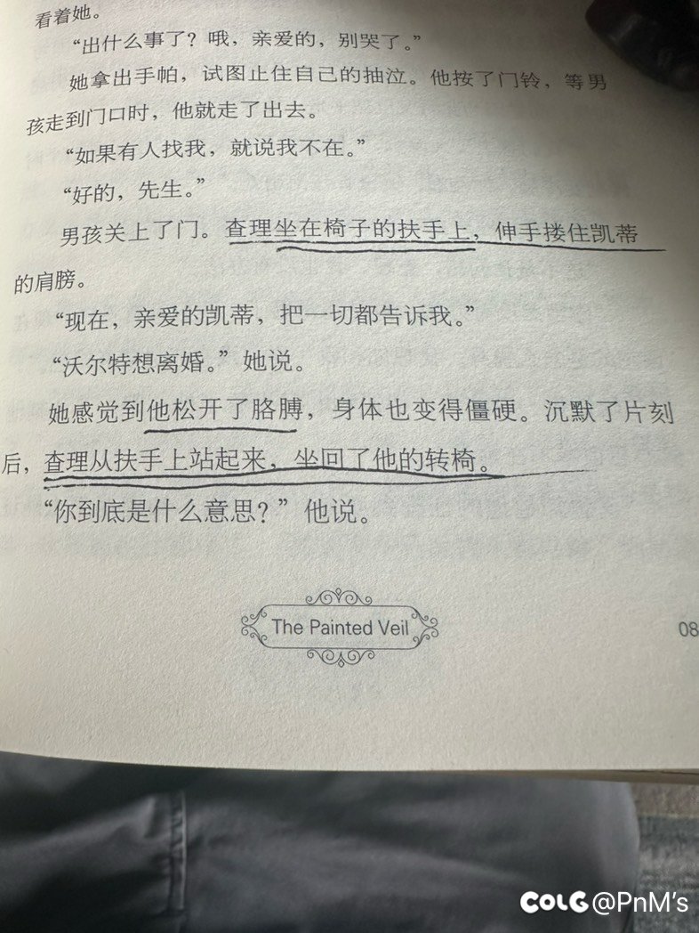 推荐一部小说，面纱1